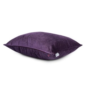 Dark Violet 1.jpg