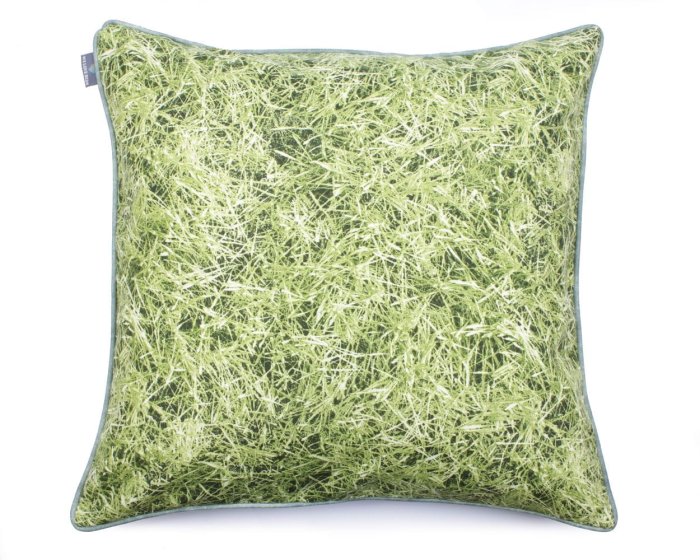 02 Grass (1).JPG