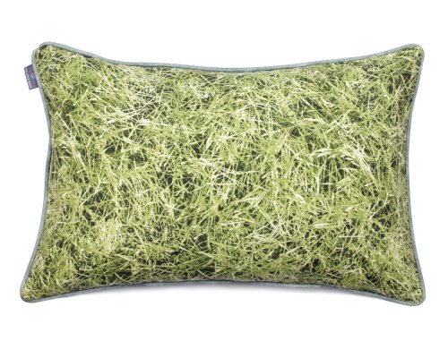 02 Grass (6).JPG