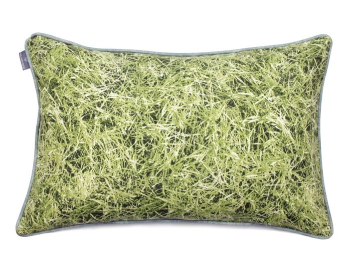 02 Grass (6).JPG